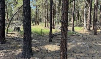 Thunder Bear Road, Bonanza, OR 97623