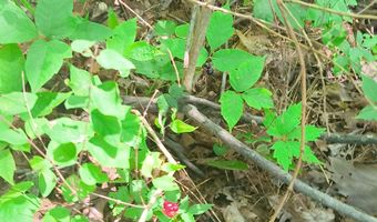 2500 S Coalmine Lot 2 Rd, Bloomfield, IN 47424