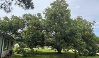 609 E Quitman St, Alba, TX 75410