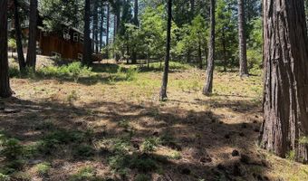 2904 Venado Dr, Arnold, CA 95223