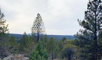 Widgeon Drive lot 1 2 & 3, Bonanza, OR 97623