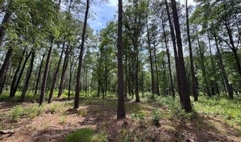 Fox Paw Court, Branchville, SC 29432