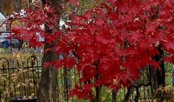 2642 Remington Rd, Utica, NY 13501