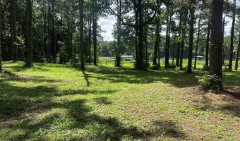 2087 White Rd, Abbeville, AL 36310