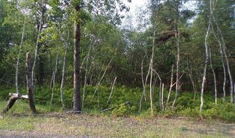 Claremont Drive lot 4403, Albrightsville, PA 18210