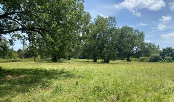 1 County Road 91, Banks, AL 36005