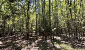 2672 Big Fork Rd, Barnwell, SC 29812