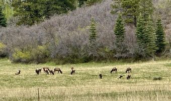 15098 CR 240, Bayfield, CO 81122