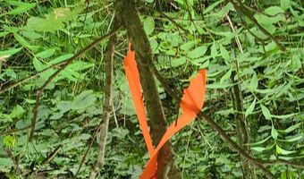 45 Acres 108th Ave, Allegan, MI 49010