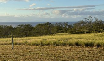 56-135 PUALANI Rd, Hawi, HI 96719