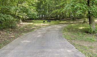 1820 Frank Roberts Rd, Afton, TN 37616
