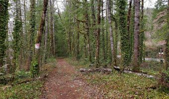 0 E Barlow Trail Rd, Brightwood, OR 97011