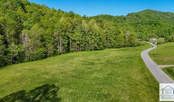 1619 Squirrel Creek Rd, Ararat, VA 24053