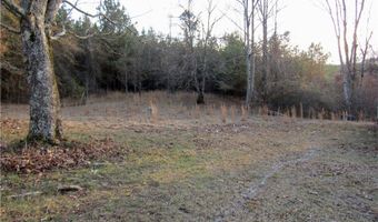 80 Weeks Rd, Beaverton, AL 35544