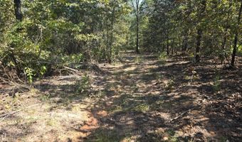 S80 Helt Rd, Antlers, OK 74525