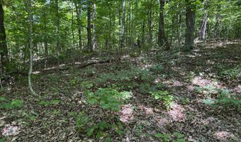 6 8 Acres Friendship South Rd, Afton, TN 37616