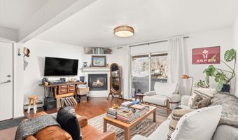 326 Midland Ave 308, Aspen, CO 81611