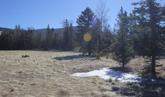 Lot 106 Quail Ridge, Angel Fire, NM 87710