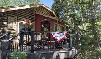 124 Ski Rd, Allenspark, CO 80510