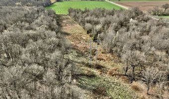 0002 CR-290, Asbury, MO 64832