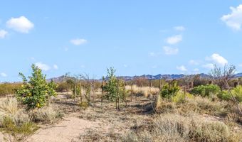 6555 E Foresight Rd, Sahuarita, AZ 85629