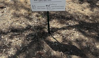 446 Devonwood Rd, Altadena, CA 91001