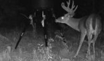 34655 Co Rd 49, Beaverton, AL 35544