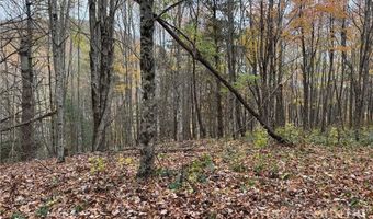 Rominger Road, Banner Elk, NC 28604