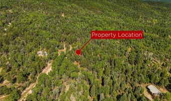 526 Via Del Rey, Angel Fire, NM 87710