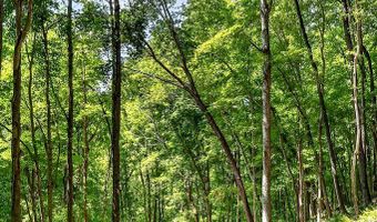 2926 Bryant Ridge Rd, Baxter, TN 38544