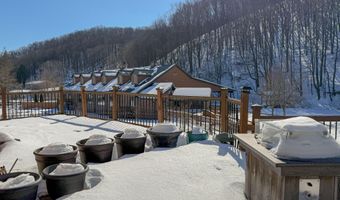 1409 Dunkard Hollow Rd, Alum Bank, PA 15521