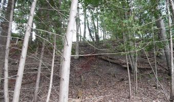 S Forest Lake, Alger, MI 48610