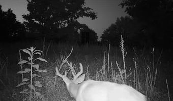 71 8 Klondike Rd, Anderson, MO 64831