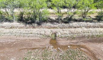 Charlene Lane, Belen, NM 87002