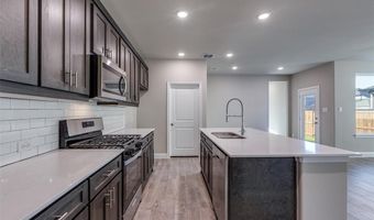 917 Amenduni Ln, Anna, TX 75409