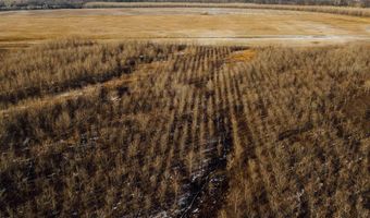 3300 Sheppard Island Rd, Altheimer, AR 72004