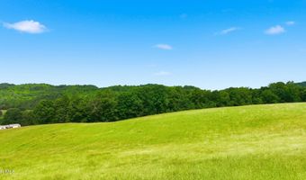 16037 Knights Bridge Rd, Abingdon, VA 24210
