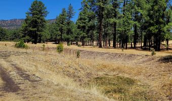 Tbd STONE CREEK RD CR 2117, Alpine, AZ 85920