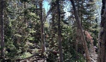 W Hunter Ridge Dr, Brian Head, UT 84719