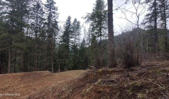 480 Dunn Peak Rd, Avery, ID 83802