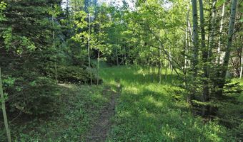 County Road 59, Allenspark, CO 80510