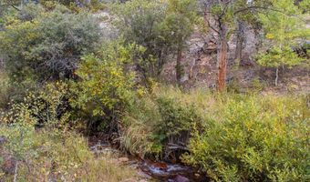 761 Cabin Creek Rd, Allenspark, CO 80510
