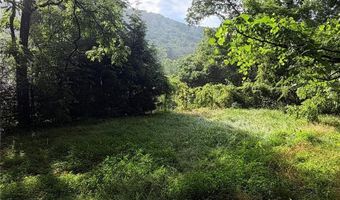 20 Utopia Rd, Asheville, NC 28805
