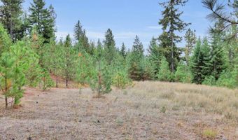 1571 Stone, Blanchard, ID 83804