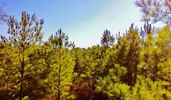 Loon Road, Barnwell, SC 29812
