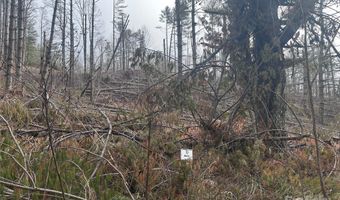 99999 White Pine Ln, Bakersville, NC 28705