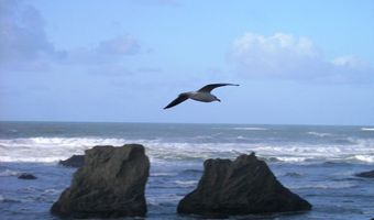 Allegheny Rd, Bandon, OR 97411