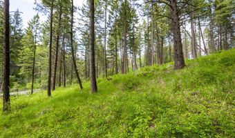 604 Ranch Rd, Bigfork, MT 59911