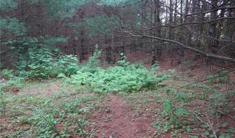 6 Xx US Highway 8, Apple River, WI 54001