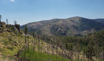 693 Cougar Dr, Bellvue, CO 80512